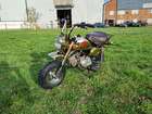 1984 Honda Z50 Gold Edition Monkey Bike 49cc-Sold