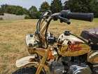 1984 Honda Z50J Gold Limited Edition Monkey 49cc-Sold