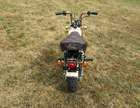 1984 Honda Z50J Gold Limited Edition Monkey 49cc-Sold