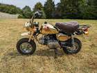 1984 Honda Z50J Gold Limited Edition Monkey 49cc-Sold