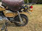 1984 Honda Z50J Gold Limited Edition Monkey 49cc-Sold