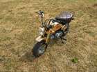 1984 Honda Z50J Gold Limited Edition Monkey 49cc-Sold