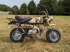 1984 Honda Z50J Gold Limited Edition Monkey 49cc-Sold