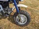 2012 Honda Z50JC Fuel-Injected Monkey 49cc-For Sale