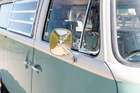 1969 Volkswagen Type 2 Westfalia Bay Window Camper-Sold
