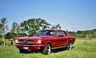 1967 Ford Mustang 289 V8 'Notchback'-Auction Lot