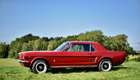 1967 Ford Mustang 289 V8 'Notchback'-Auction Lot