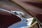 1959 Jaguar Mk IX 3.8