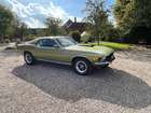 1970 Ford Mustang Fastback-For Sale