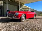 1965 Datsun Fairlady 1500 (SPL310)-Sold