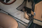 1951 Bentley Mk VI Mallalieu Barchetta Special-Sold