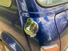 2000 Rover Mini 1275-Sold