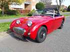1959 Austin-Healey Frogeye Sprite-Sold