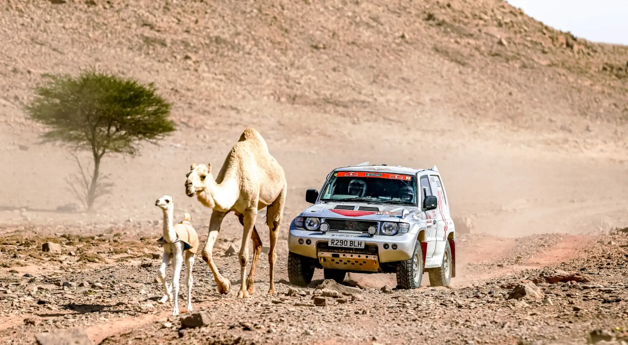 1998 Mitsubishi Pajero Evolution - 2022 Dakar Classic Finish-Sold