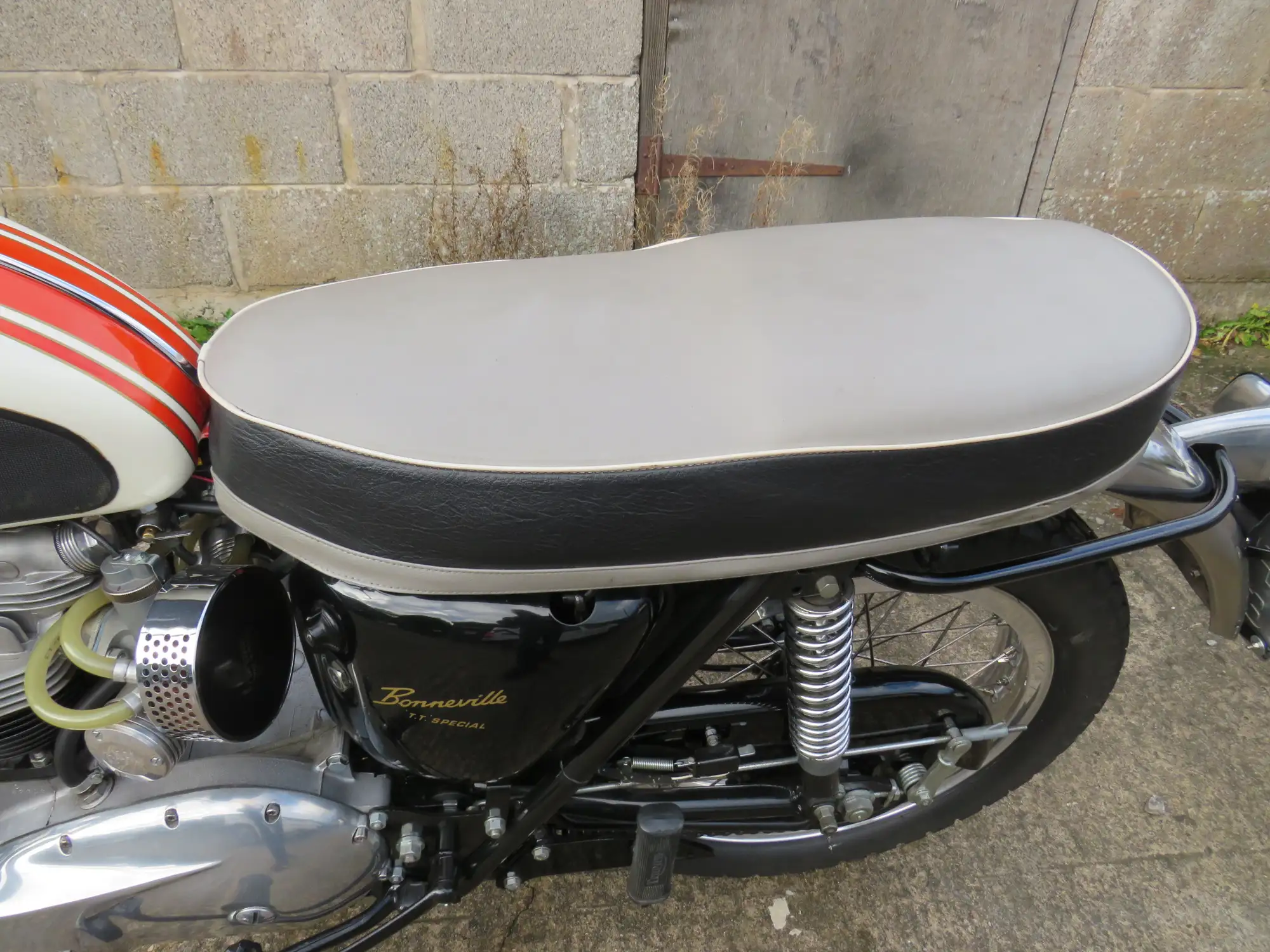 1966 Triumph T120 Bonneville TT Special 649cc-Sold