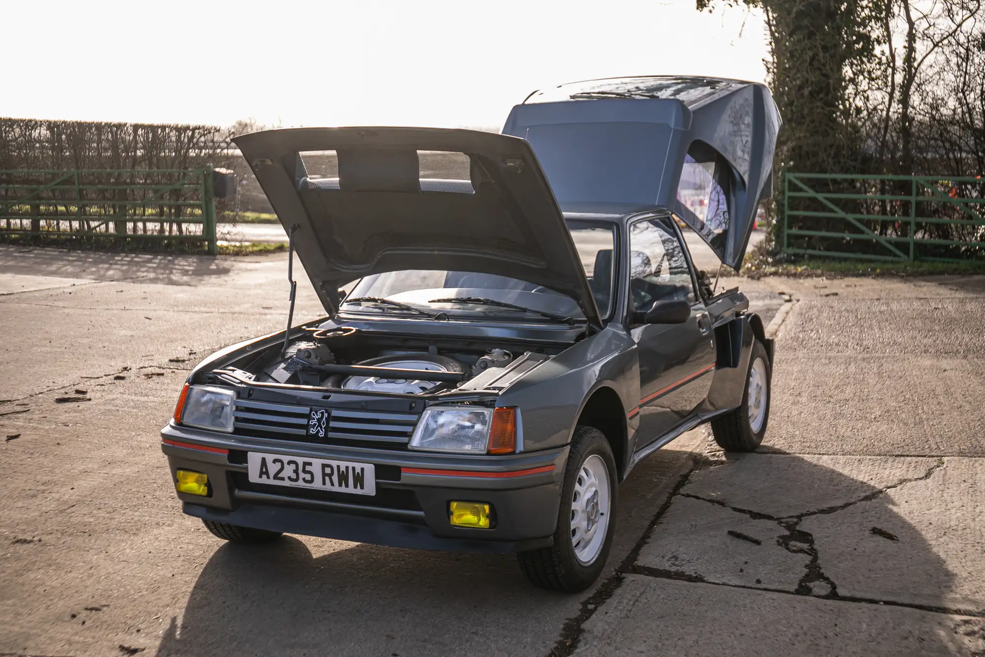 1984 Peugeot 205 Turbo 16-Sold