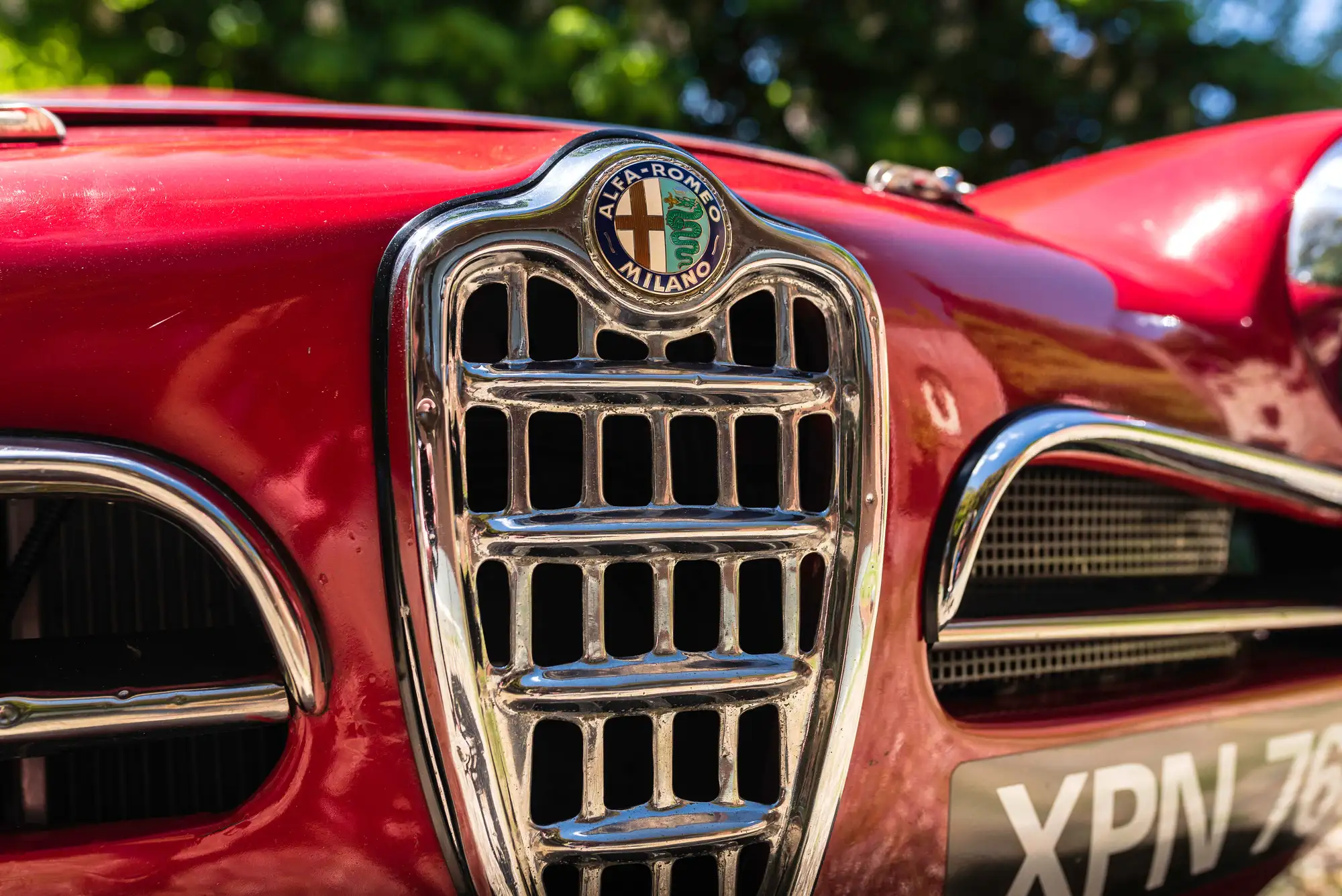 1965 Alfa Romeo Giulia 101 Spider (FIA)-Sold