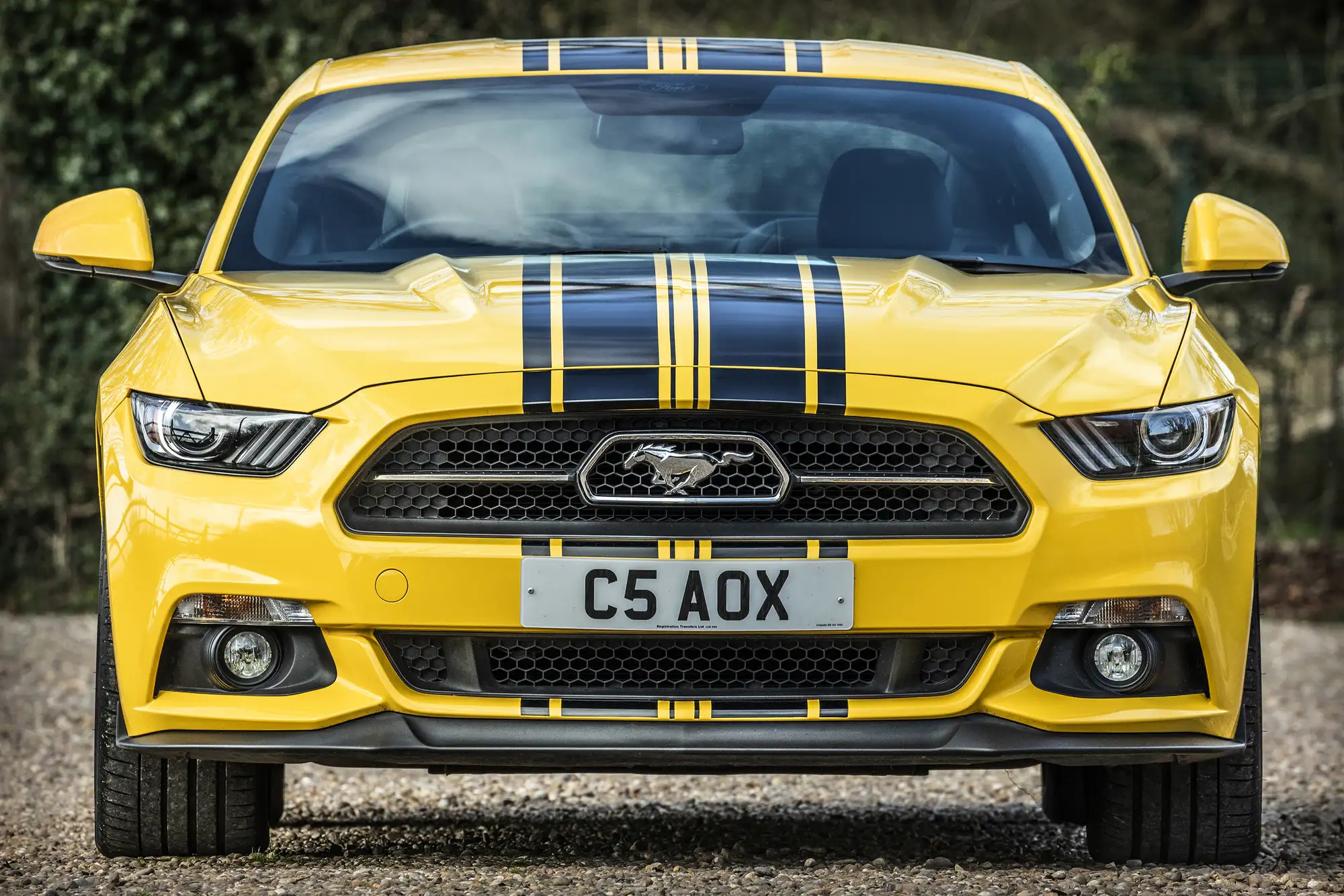 2016 Ford Mustang GT 5.0 V8-Sold