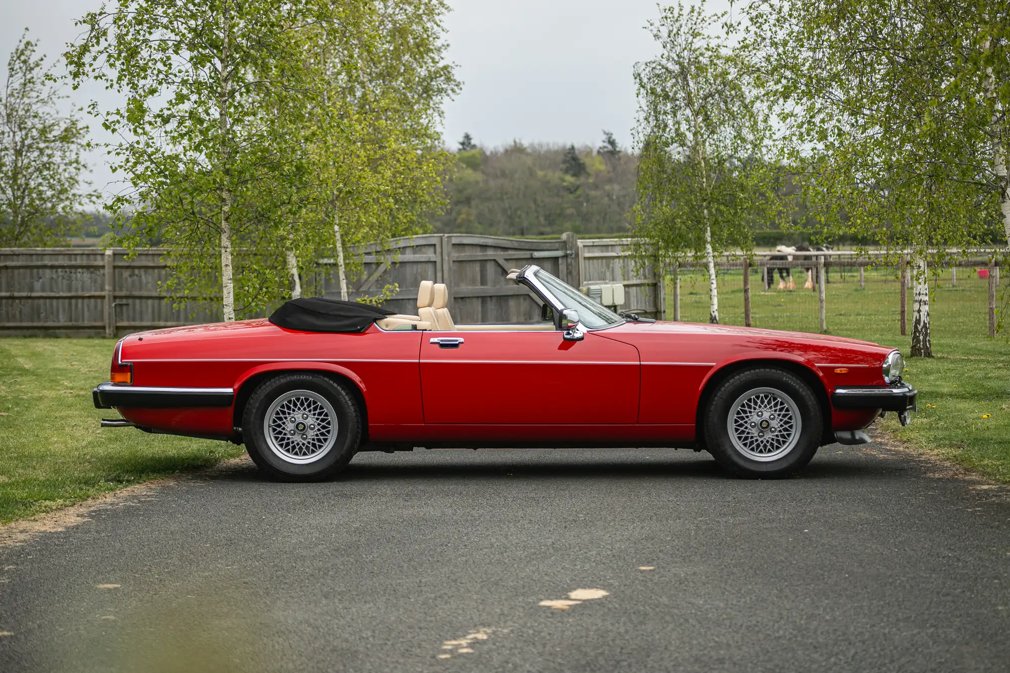 1989 Jaguar XJS 5.3 V12 Convertible-Sold