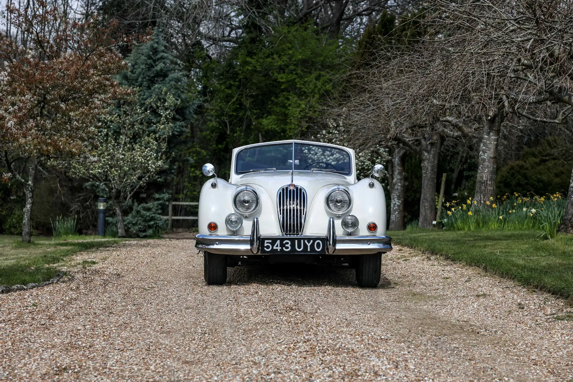 1956 Jaguar XK140 Drophead Coupé - Factory SE & Automatic Tr-Sold