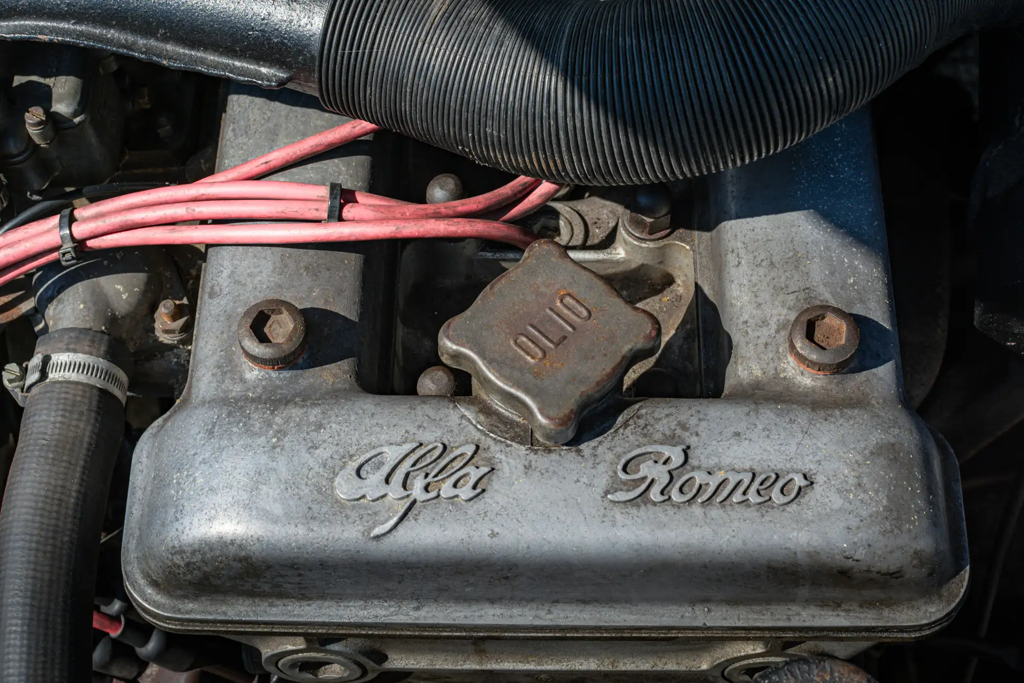 1963 Alfa Romeo Giulia Spider 1600-Sold