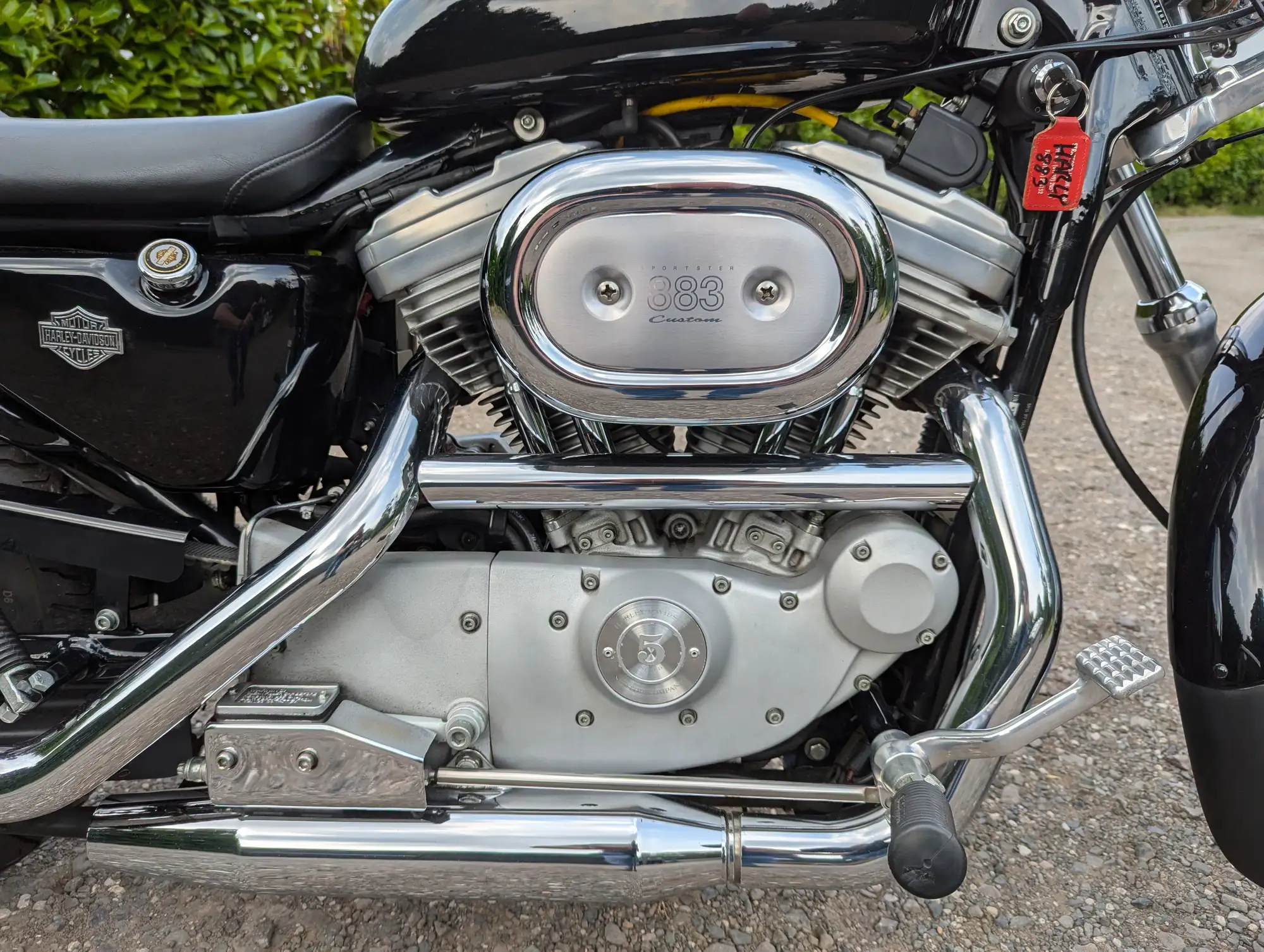 2001 Harley-Davidson 883 Sportster Custom 883cc-Sold