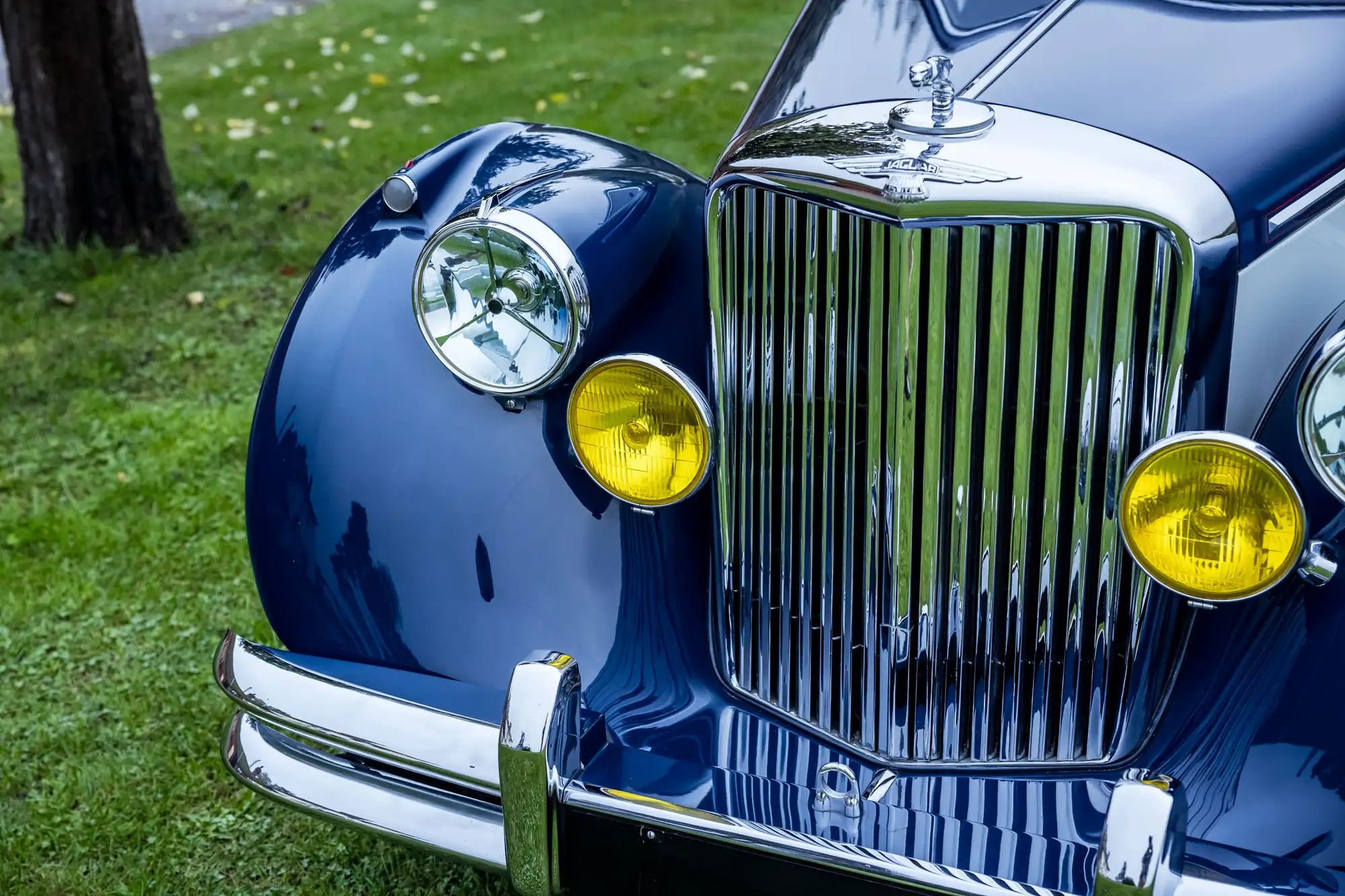 1950 Jaguar Mk V Drophead Coupé-Sold