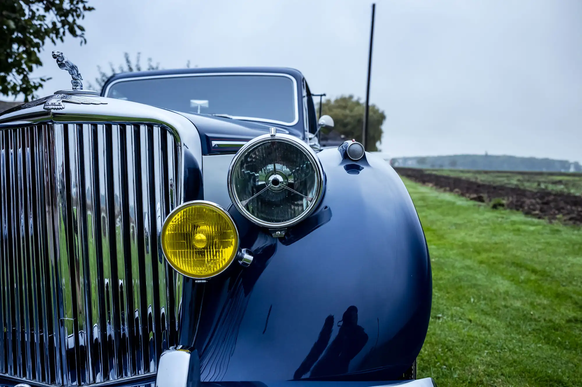 1950 Jaguar Mk V Drophead Coupé-Sold
