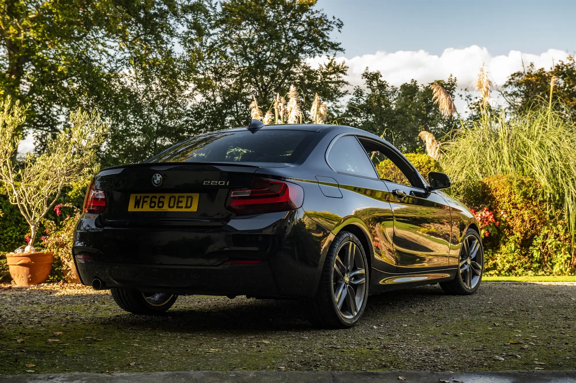 2016 BMW 220i M Sport Coupé-Sold