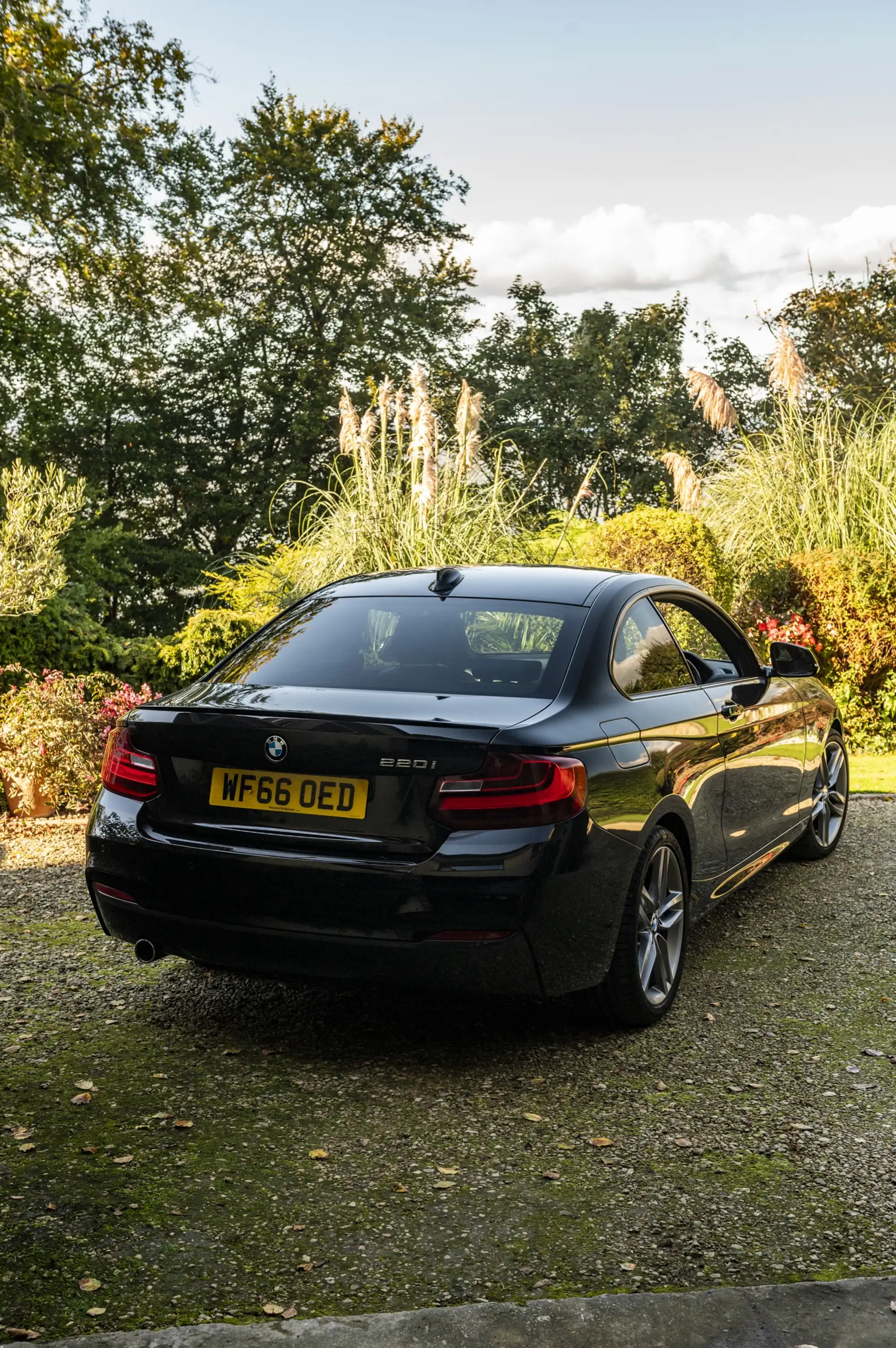2016 BMW 220i M Sport Coupé-Sold