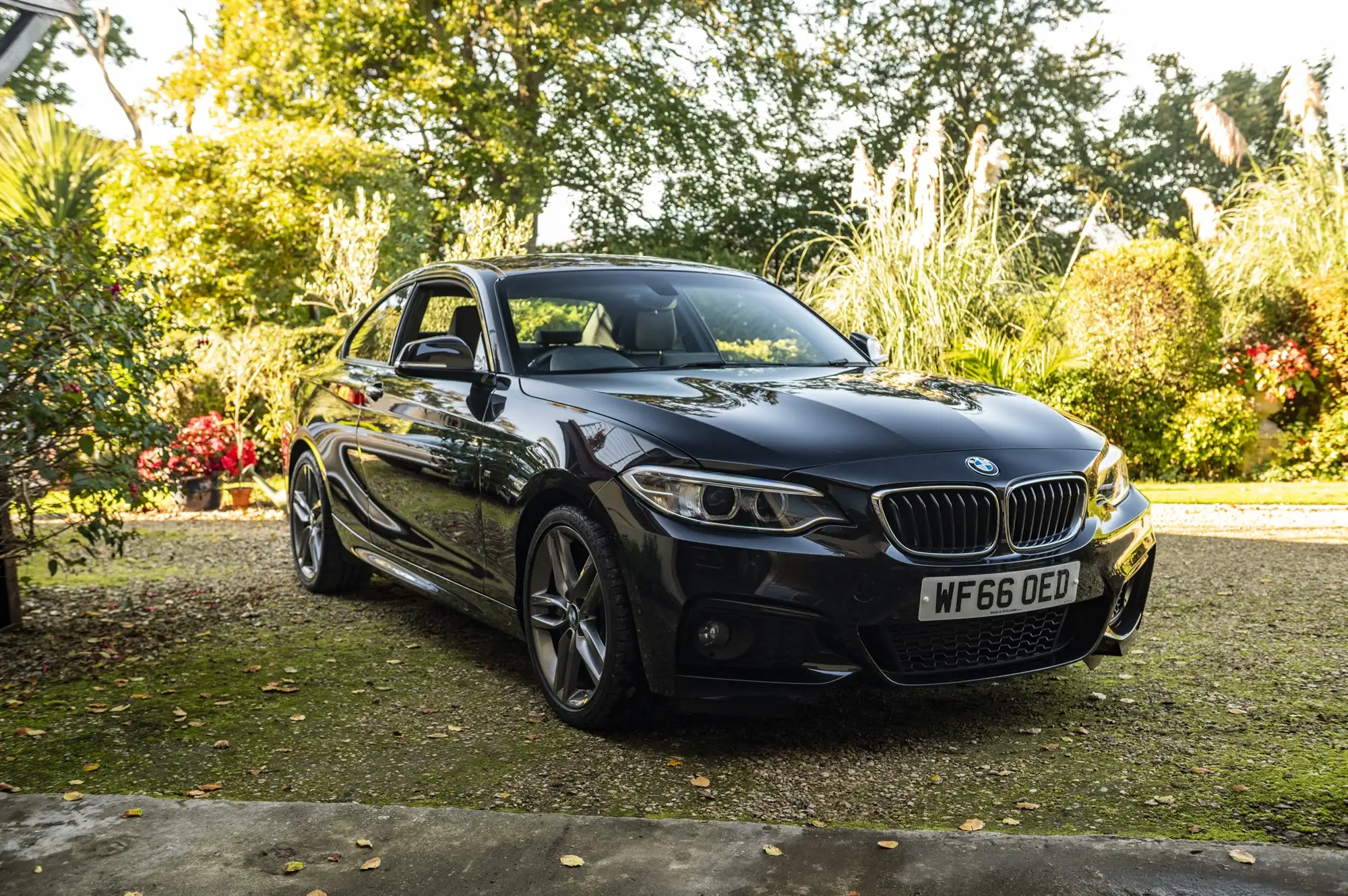 2016 BMW 220i M Sport Coupé-Sold