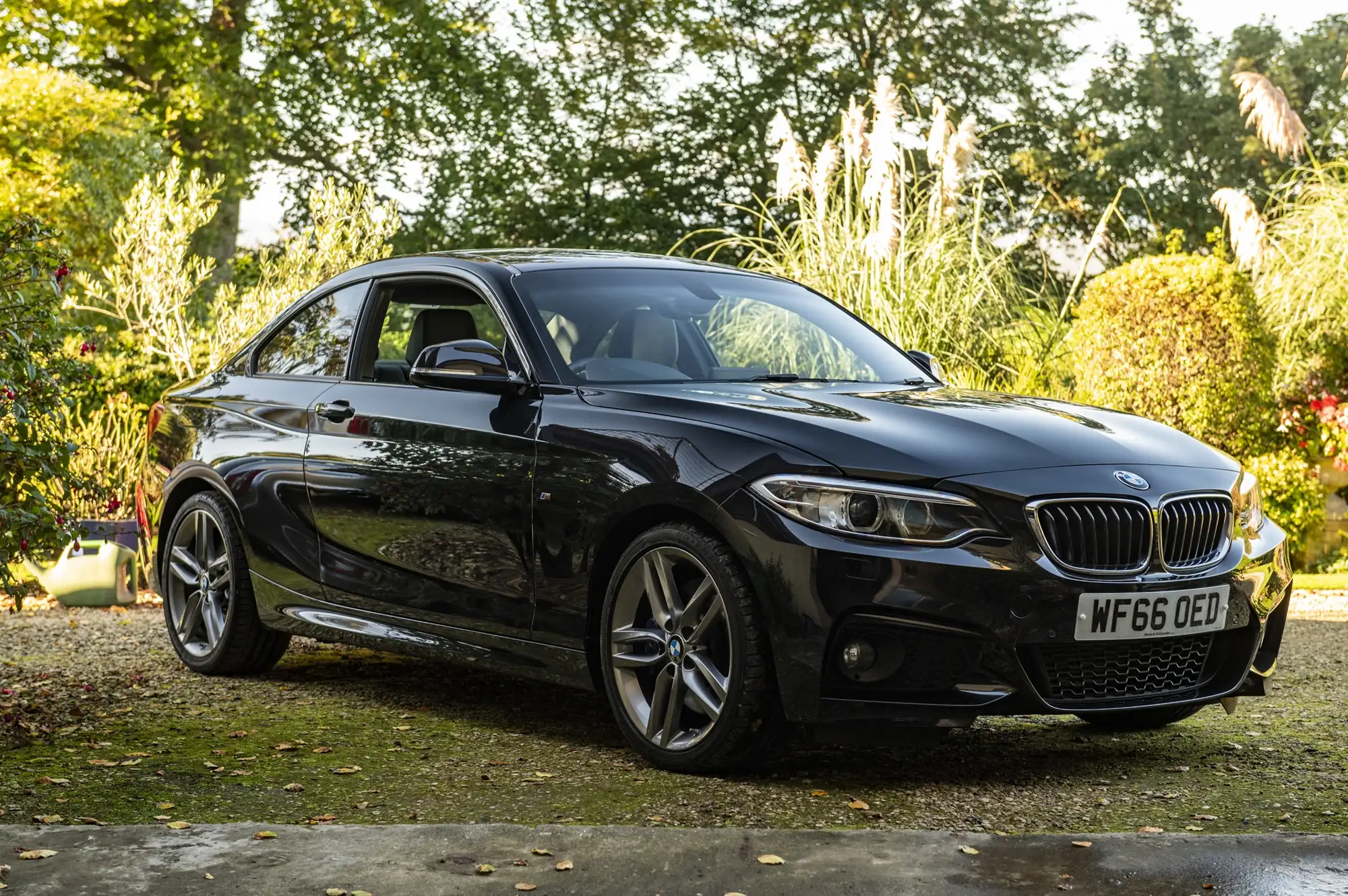 2016 BMW 220i M Sport Coupé-Sold