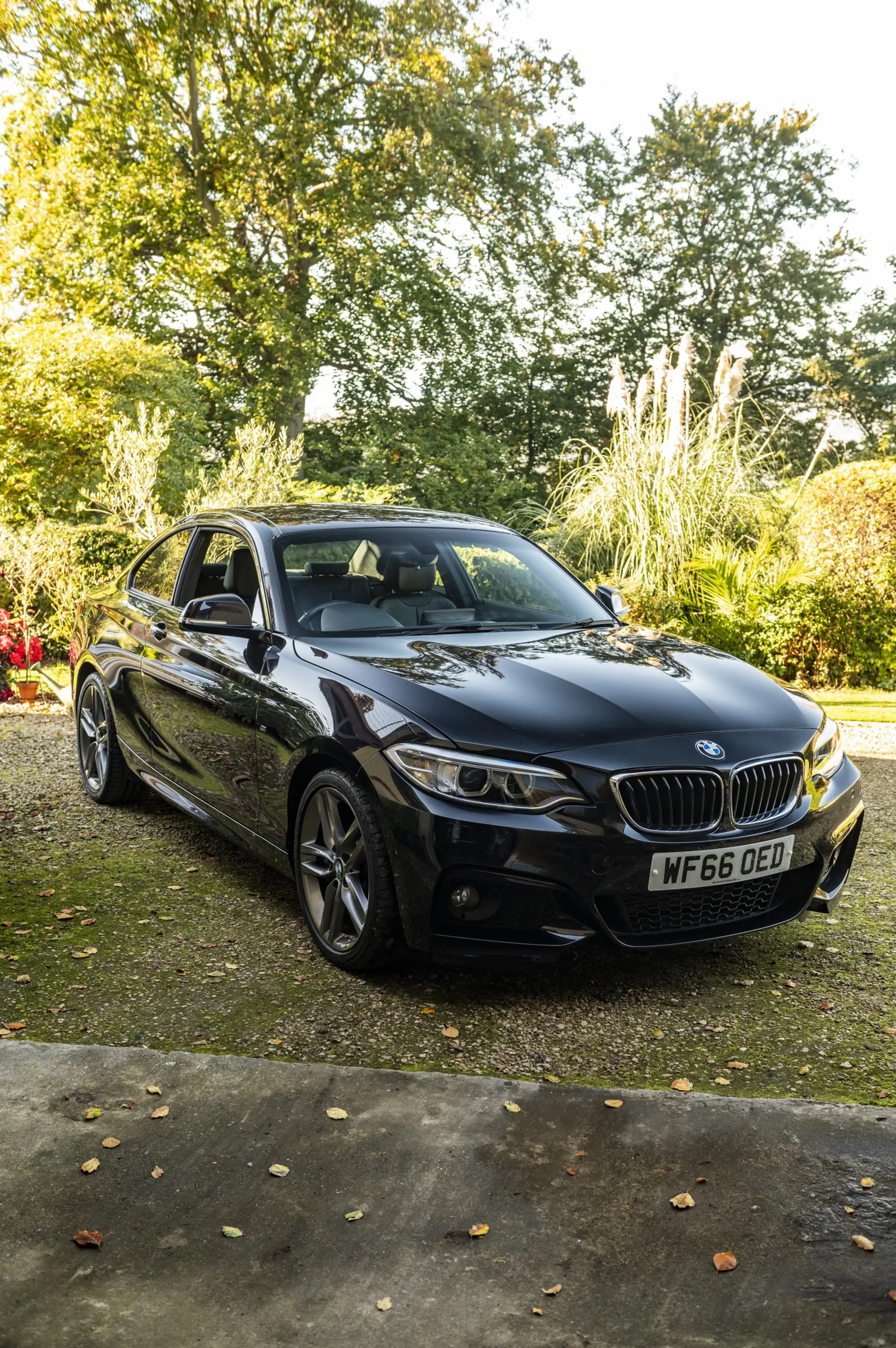 2016 BMW 220i M Sport Coupé-Sold