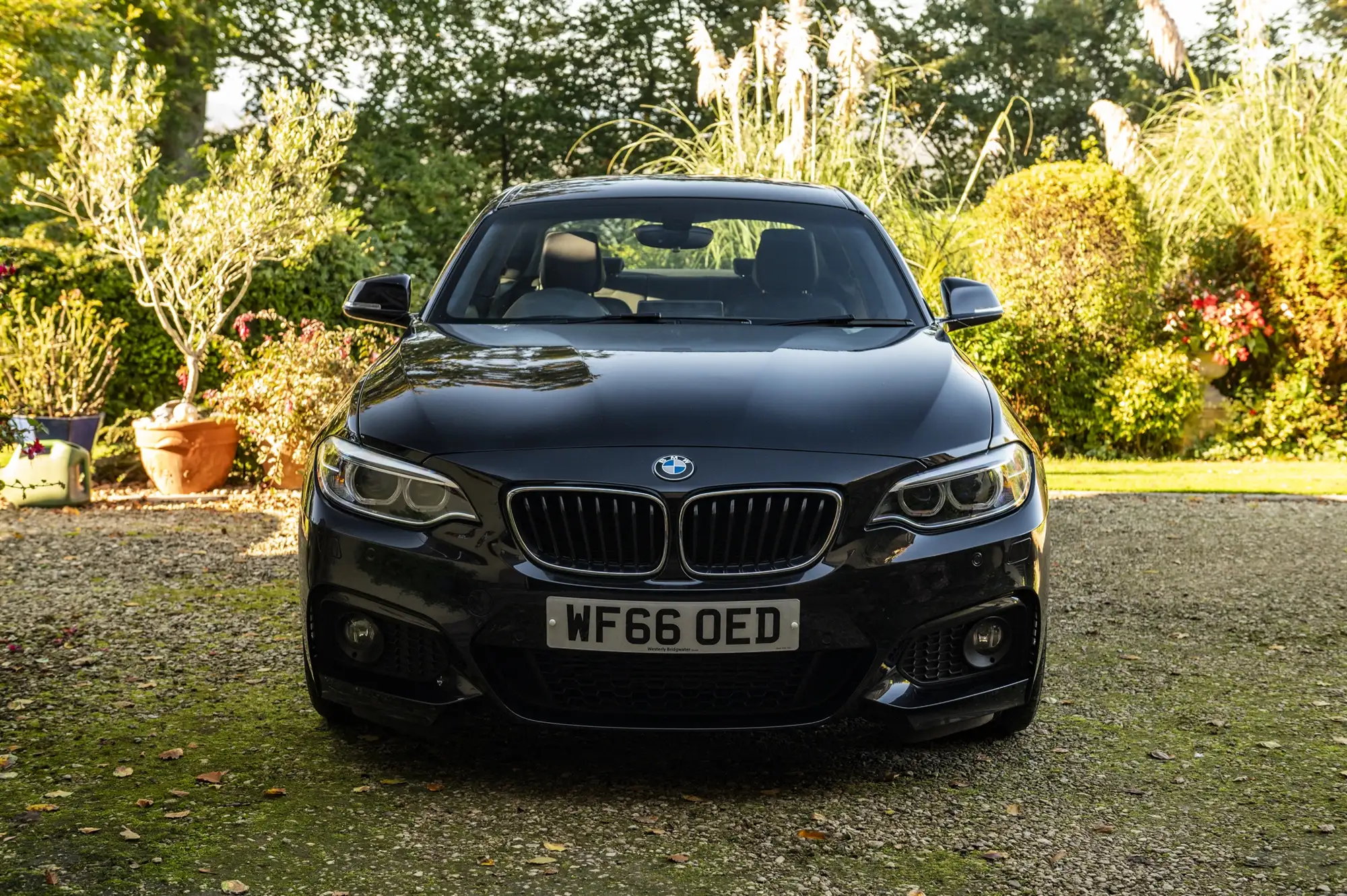 2016 BMW 220i M Sport Coupé-Sold