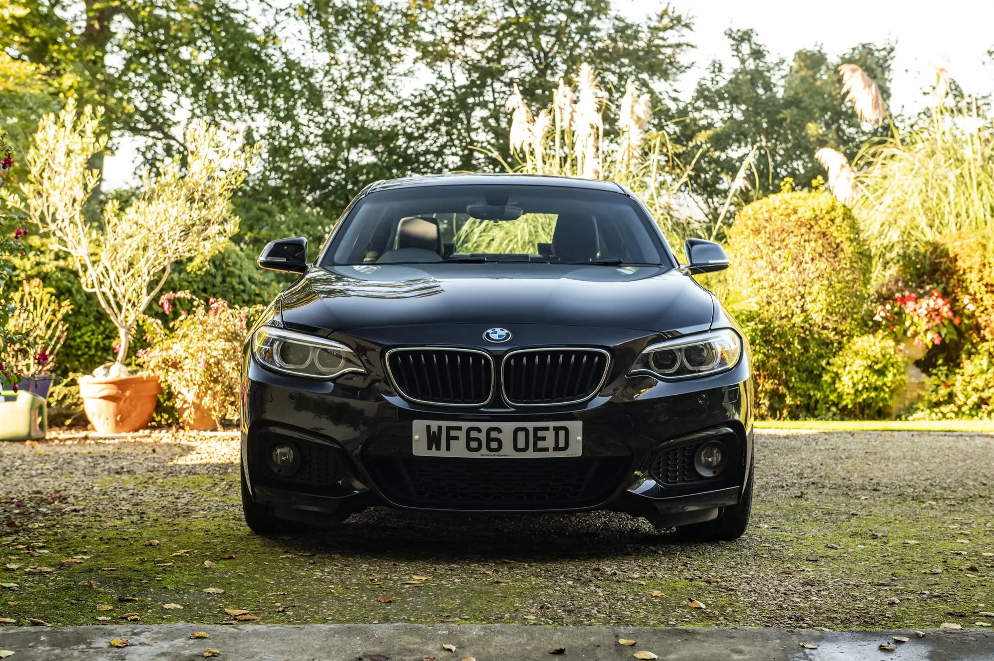 2016 BMW 220i M Sport Coupé-Sold