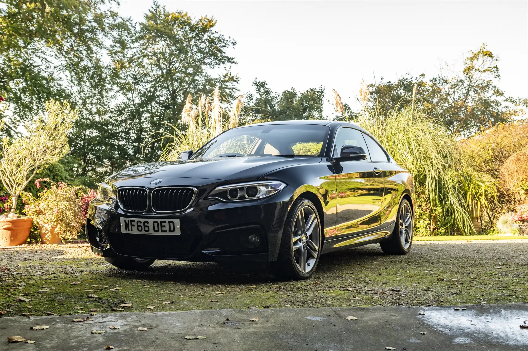 2016 BMW 220i M Sport Coupé-Sold