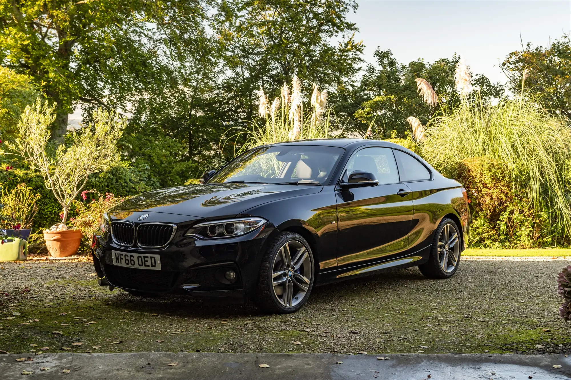 2016 BMW 220i M Sport Coupé-Sold