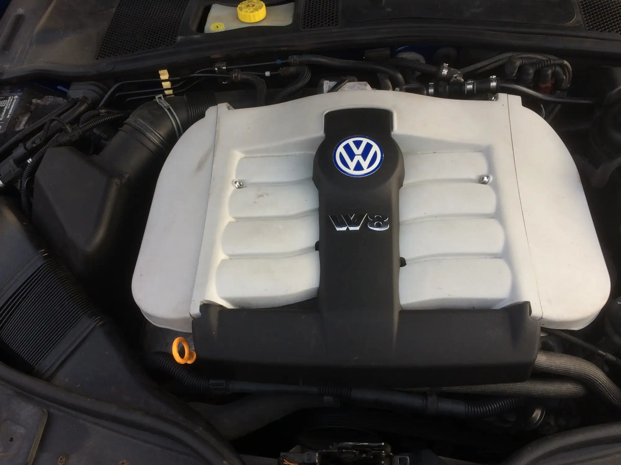 2002 Volkswagen Passat W8-Sold