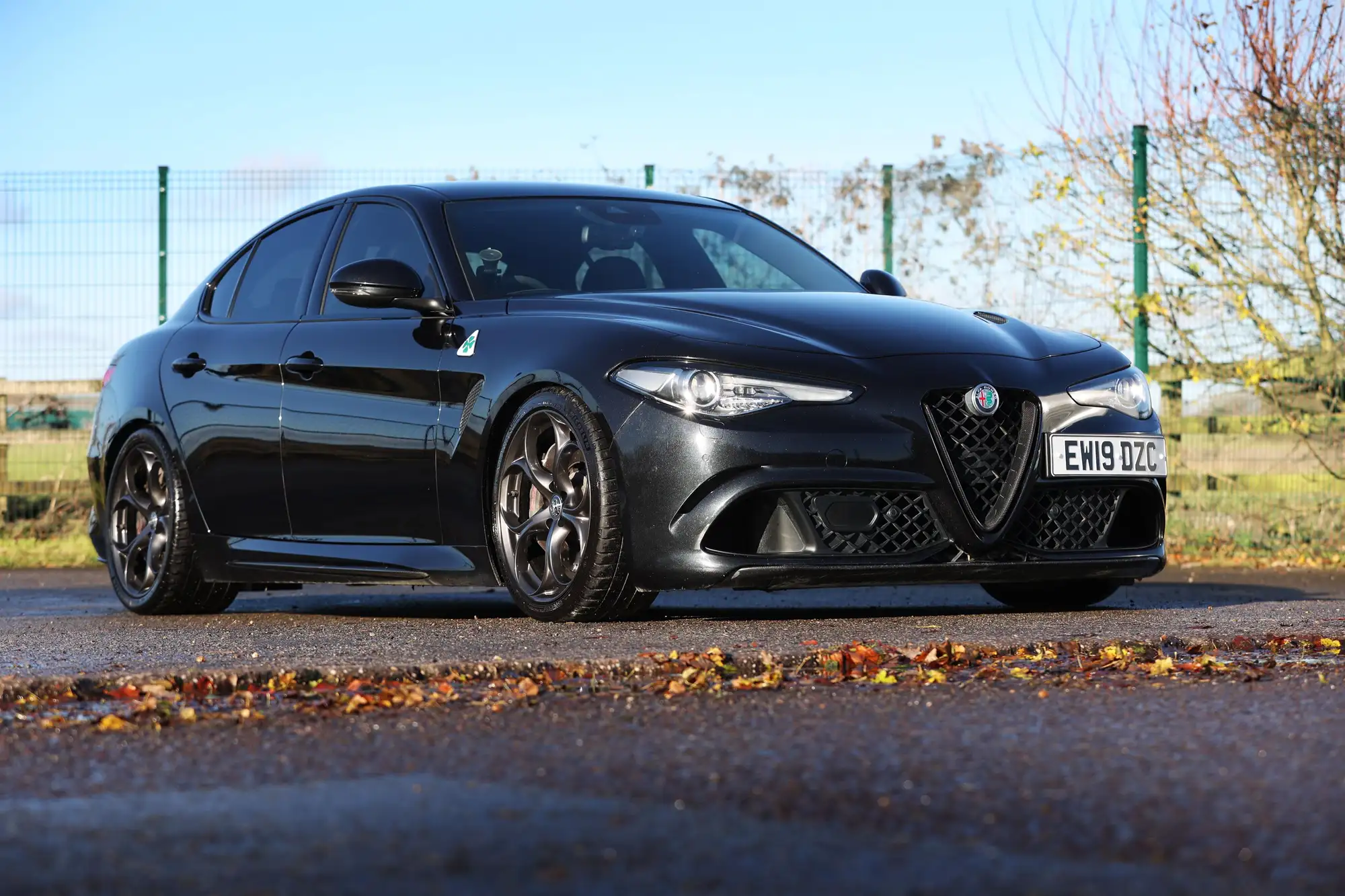 2019 Alfa Romeo Giulia Quadrifoglio-For Sale