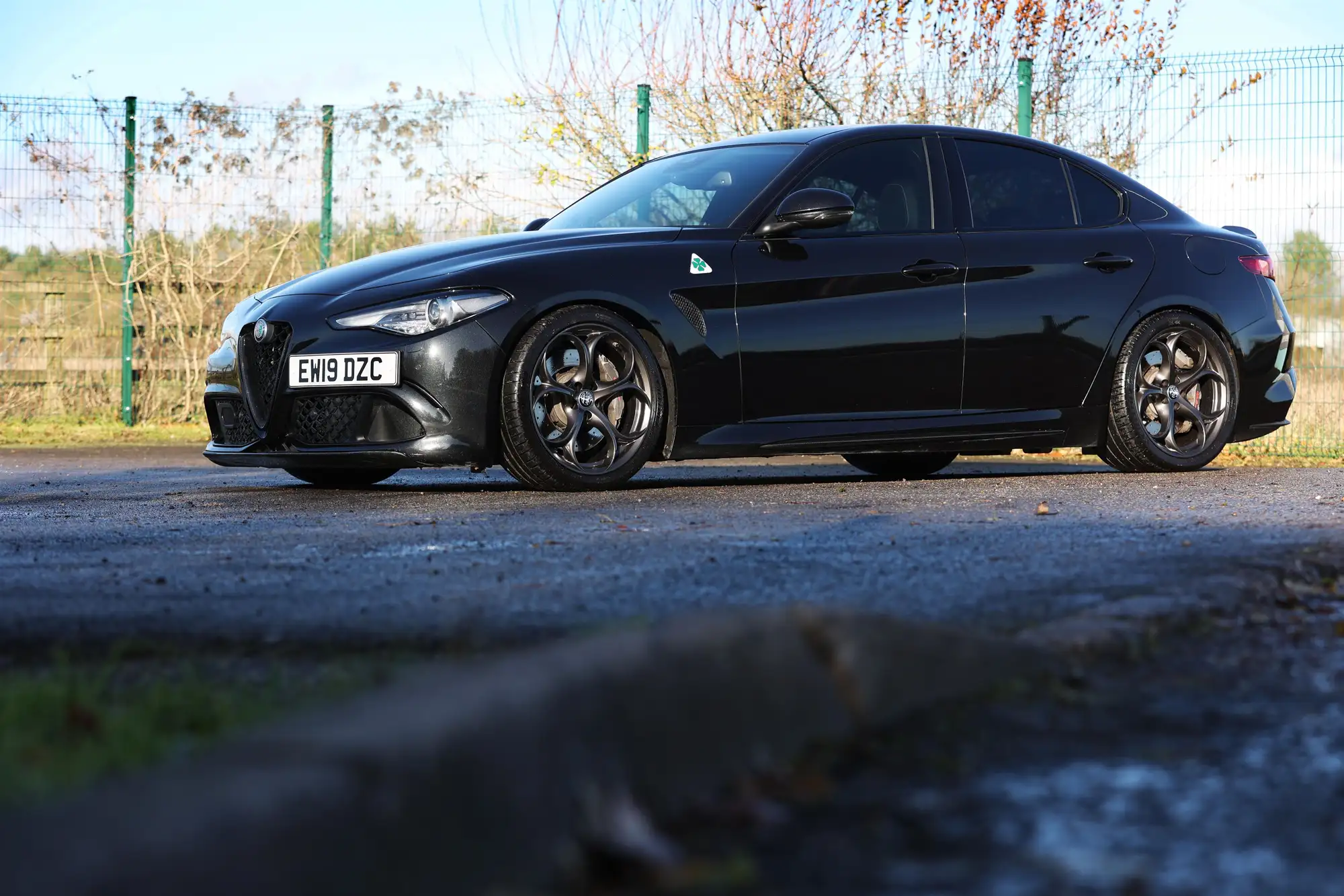 2019 Alfa Romeo Giulia Quadrifoglio-For Sale