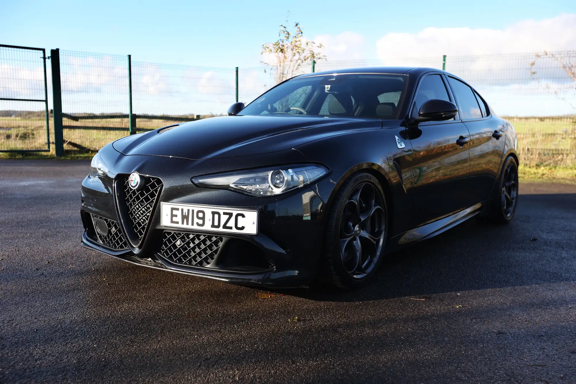 2019 Alfa Romeo Giulia Quadrifoglio-For Sale