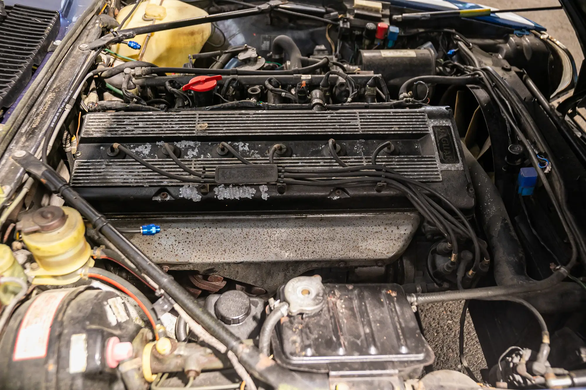 1987 Jaguar XJ-SC Competition Car-Sold