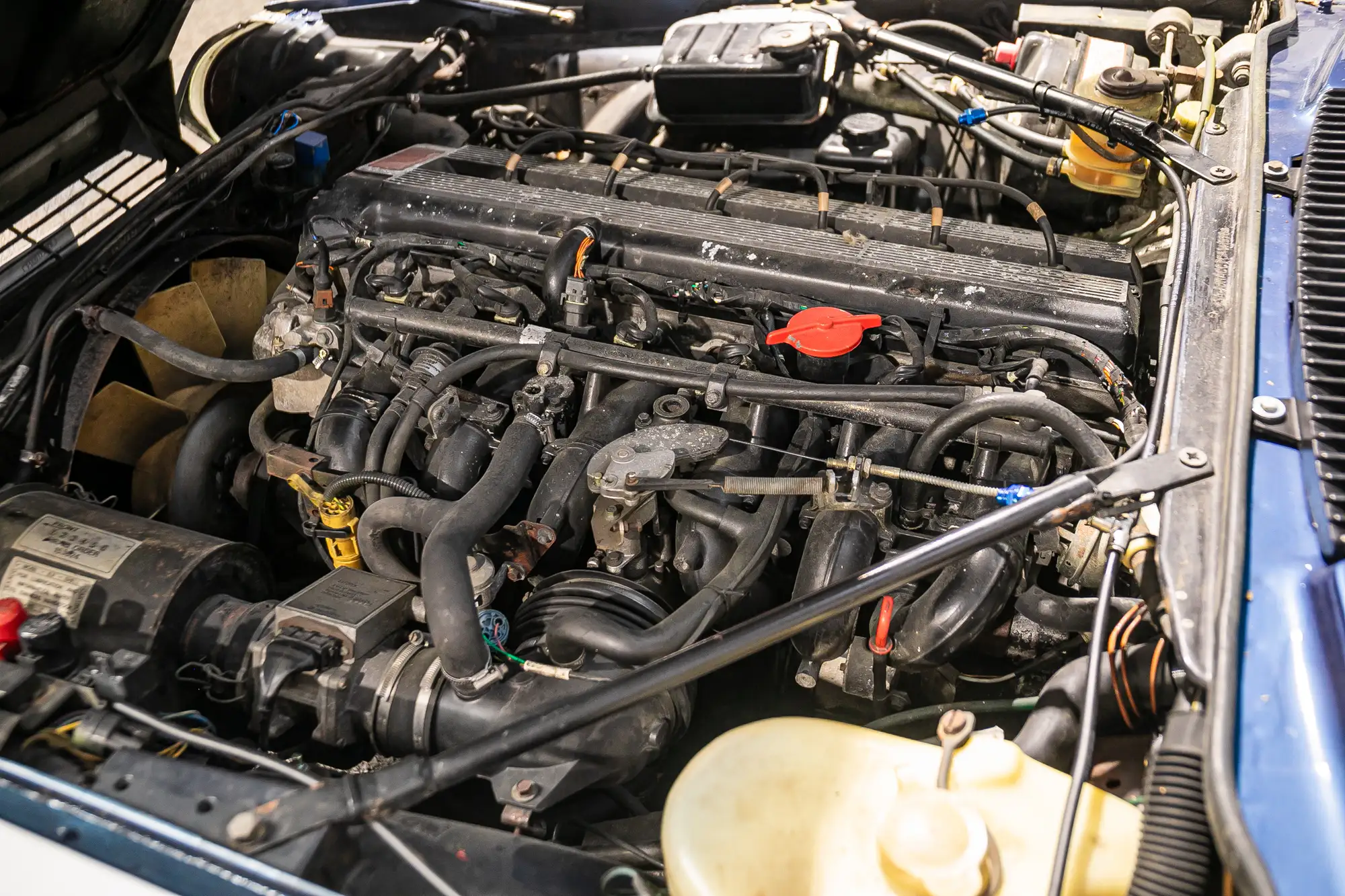 1987 Jaguar XJ-SC Competition Car-Sold