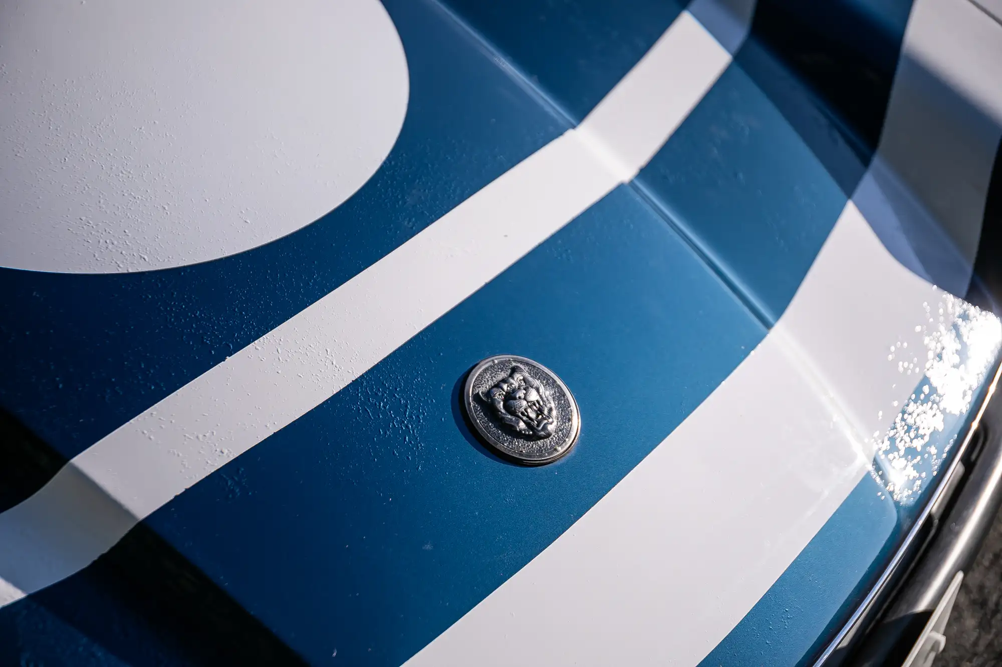 1987 Jaguar XJ-SC Competition Car-Sold