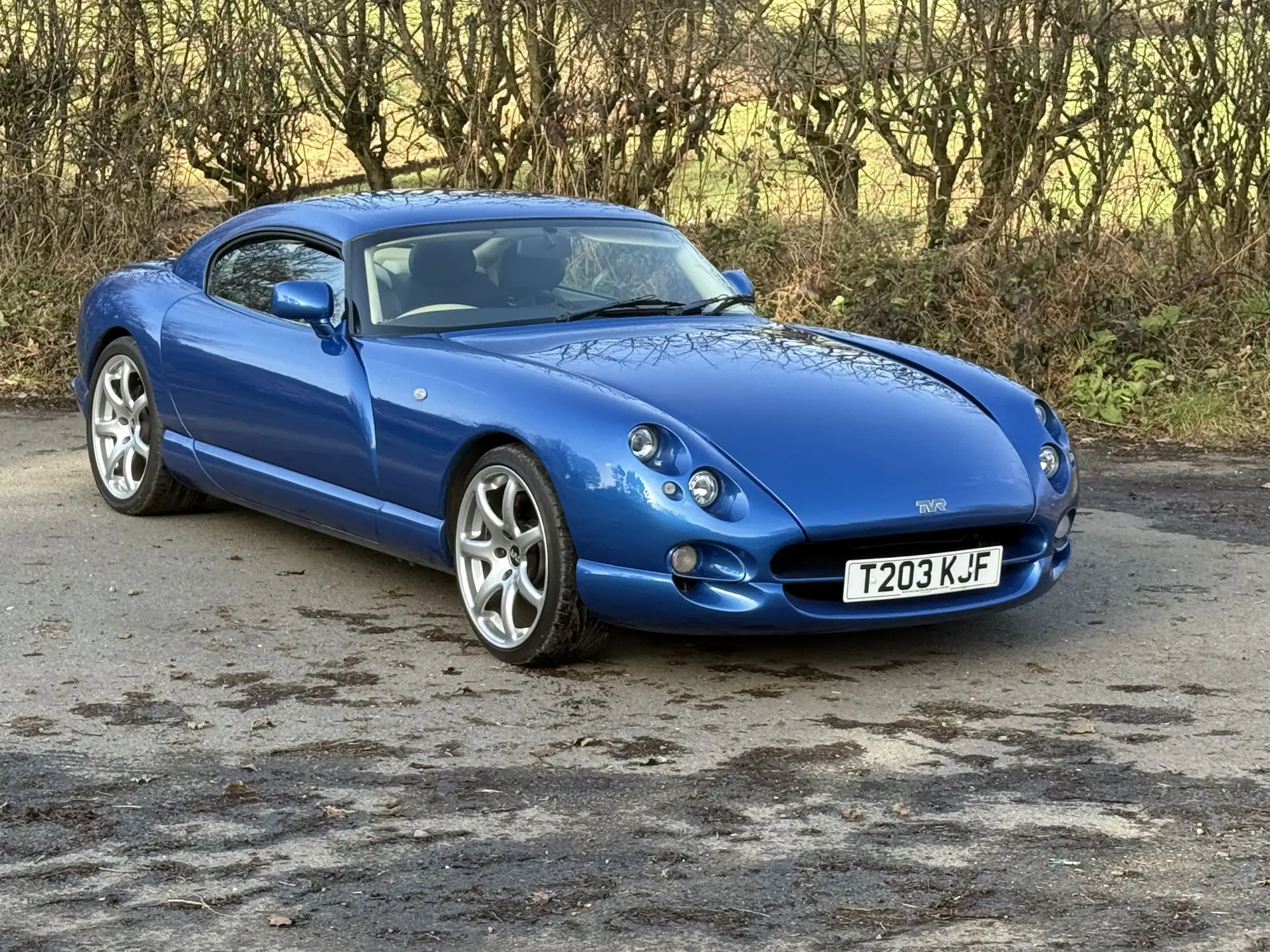 1999 TVR Cerbera Speed Six 4.0-For Sale
