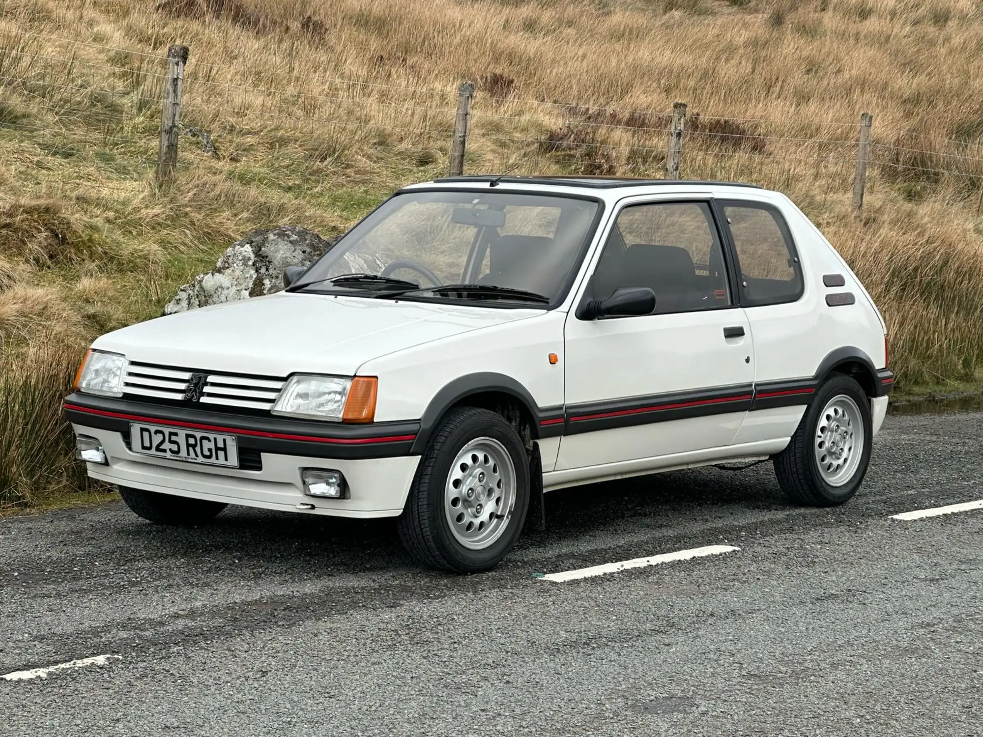 1986 Peugeot 205 1.6-Litre GTi (Phase 1)-Sold