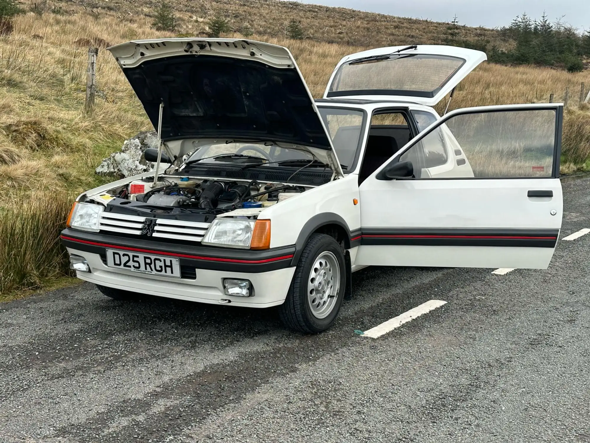 1986 Peugeot 205 1.6-Litre GTi (Phase 1)-Sold