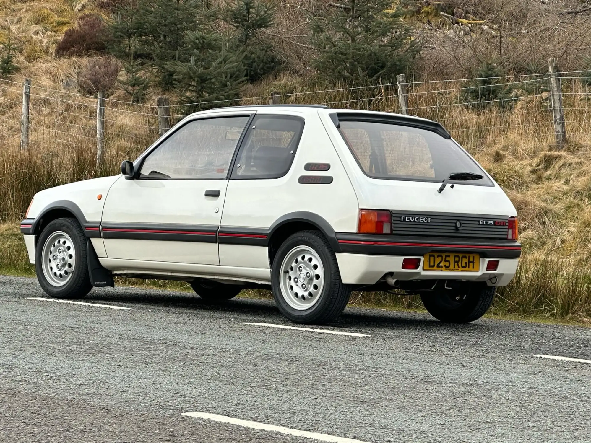 1986 Peugeot 205 1.6-Litre GTi (Phase 1)-Sold
