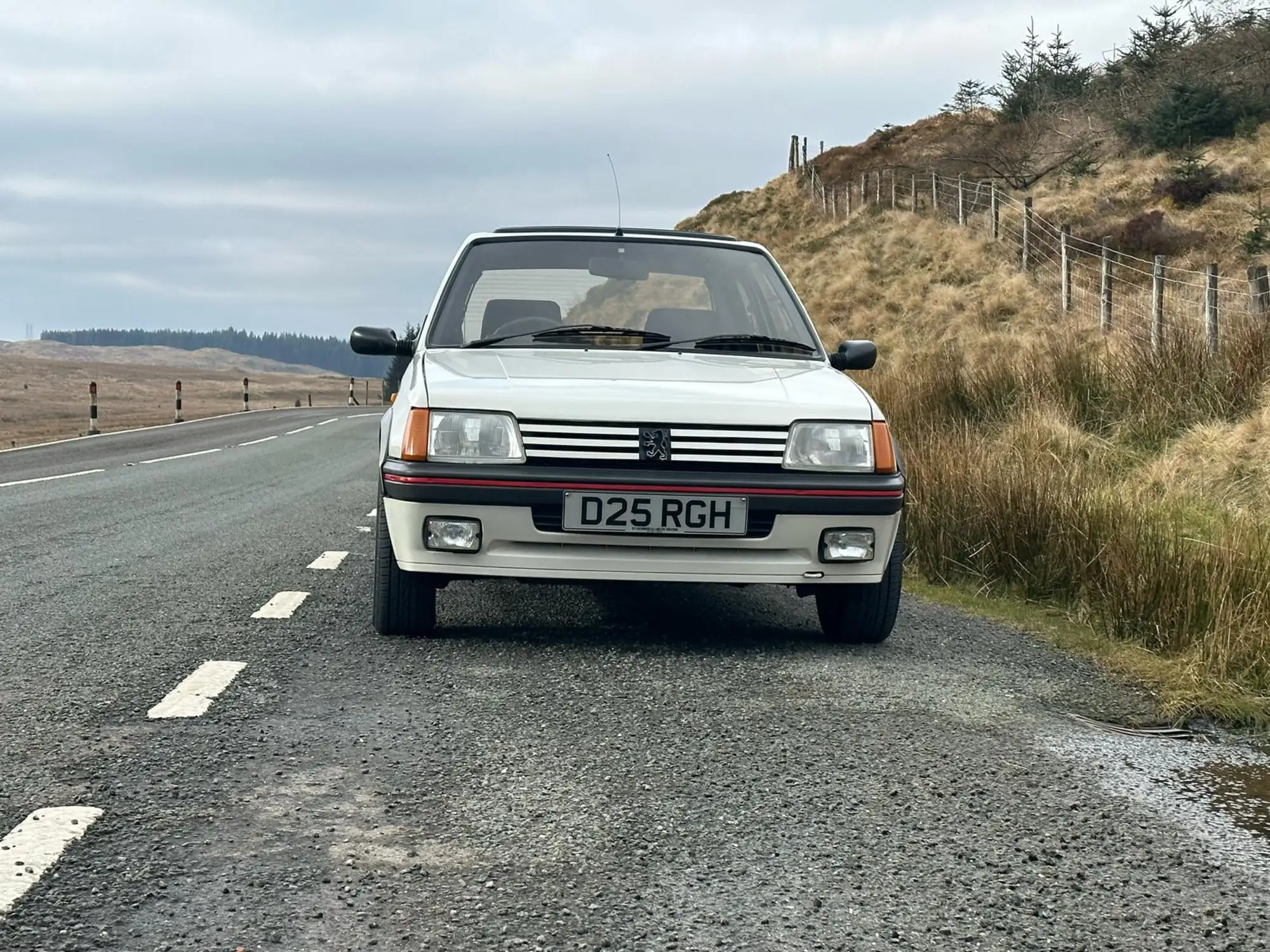 1986 Peugeot 205 1.6-Litre GTi (Phase 1)-Sold