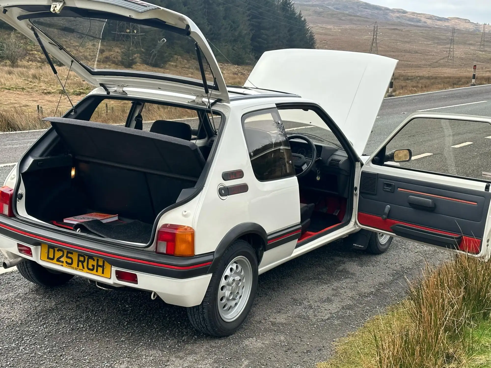 1986 Peugeot 205 1.6-Litre GTi (Phase 1)-Sold